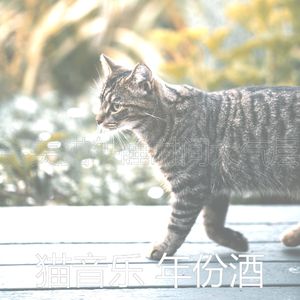 微妙的小猫心情