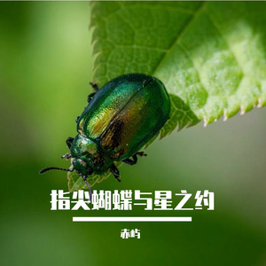 指尖蝴蝶与星之约