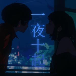 一夜十起