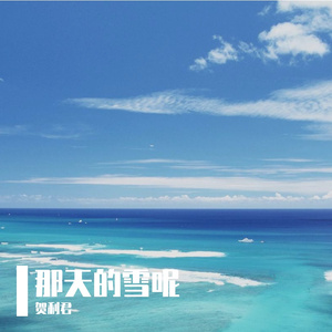 那天的雪呢