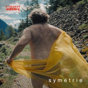 Symétrie