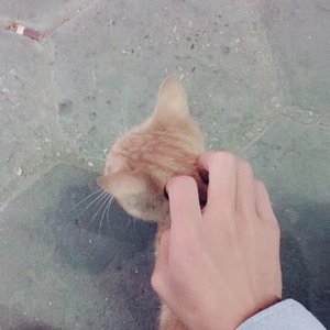 时间煮雨（吉他版）