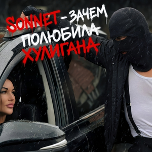 Зачем полюбила хулигана