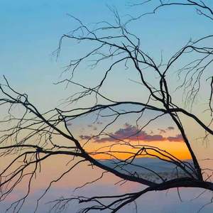 安和桥（翻自 北谣先生）