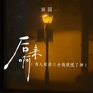 后来啊（有人似你三分我就慌了神）