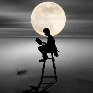 孤单已经迫不及待