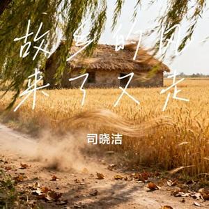 故乡的风来了又走 (Cover 老板)