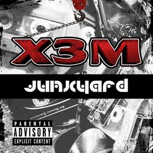 Skimatics of a Gold Mine