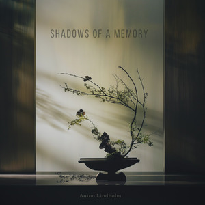 Shadows of a memory