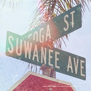 Suwanee Street