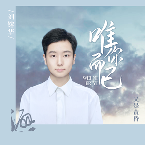 唯你而已
