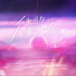 不是因为寂寞才想你