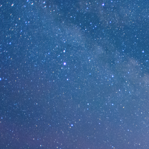 飞过高耸的海洋