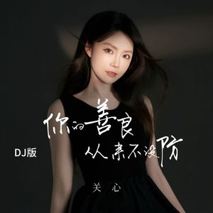 你的善良从来不设防 (DJ版)