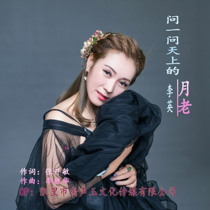 问一问天上的月老 (dj华仔版)