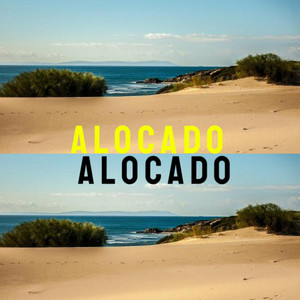 Alocado