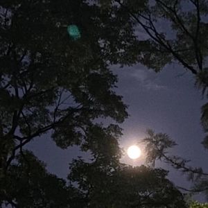 大笑江湖（变调变速）