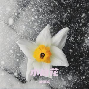 水仙花（深情版）