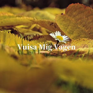 Vuisa Mig Vägen