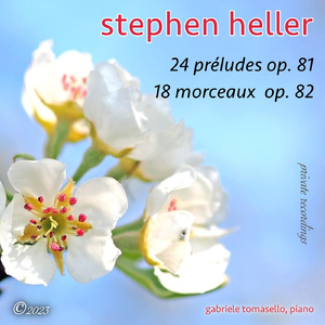 18 Nuit Blanches, Op. 82: No. 13, Consolation