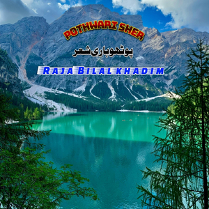 Chashm E Shokh Nal Marya Hi Teer Jehra Pothwari Sher