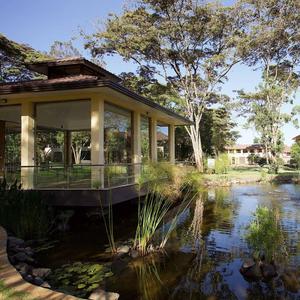 Steel Nerves In The French Bayou