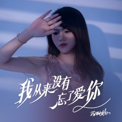 我从来没有忘了爱你 (DJ默涵版)