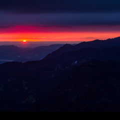 我亲手拉黑了你