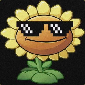 Last Push（最后攻势）