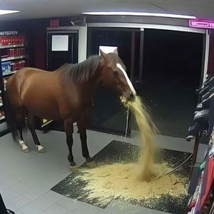 Leash Ft.腌黄瓜!!! & 326_326（Prod.faith）