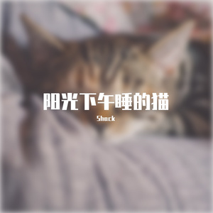 阳光下午睡的猫（吉他）