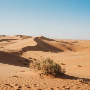 天山南北的男儿