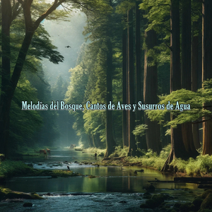 Entrelazando Sonidos, Aves y el Curso del Río