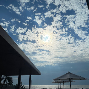 青春好无聊（cover左安西西）