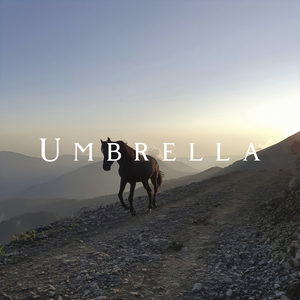 Umbrella (Remix)