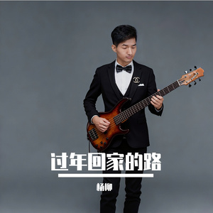 过年回家的路