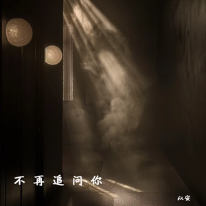 不再追问你