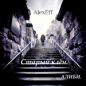 Старый клён.