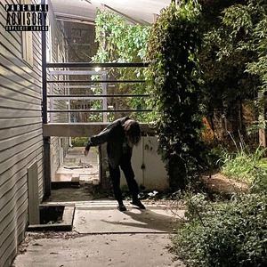 Портреты себя