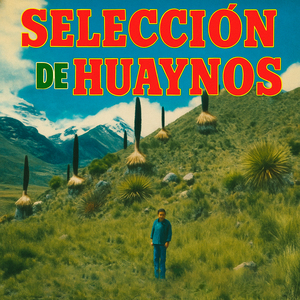 Adiós Pueblo de Ayacucho / Huérfano Pajarillo / Belén Patapi / Chullalla Sarachamanta