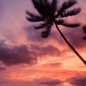 中文蹦迪八大扯