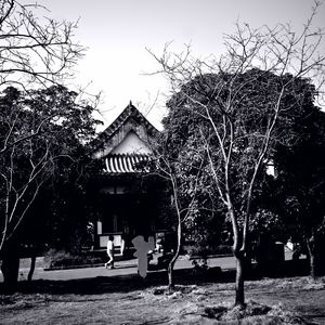 大学同学的生态多样性