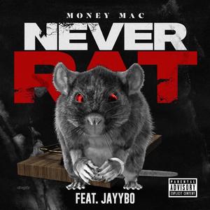 Never Rat (feat. Jayybo)