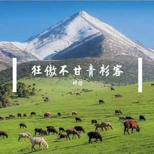 狂傲不甘青衫客