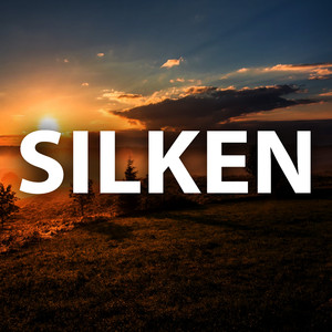 Silken