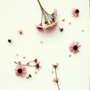 📚我两的爱情故事也只能留在历史里📚 by Rocker Aung (Country Rock)