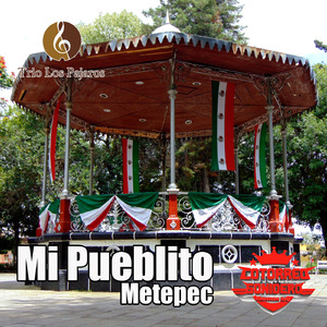 Mi Pueblito Metepec