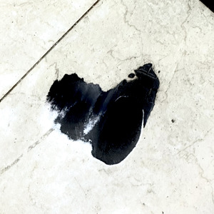 우린 사랑했었던거지 ?