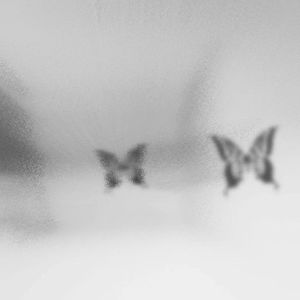 三心二意(Cover刘思鉴)