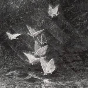 眉冬（cover 地尽头）